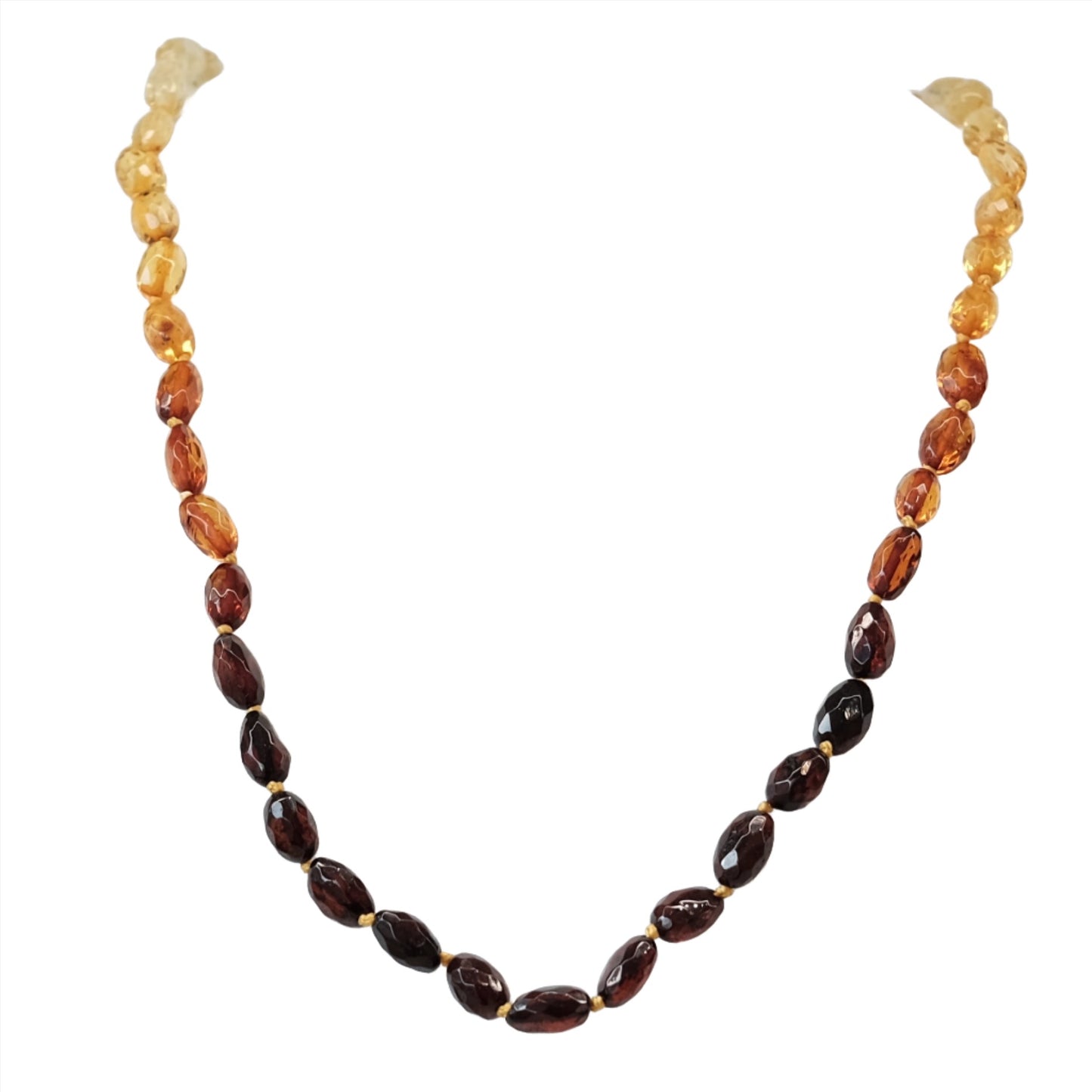 Amber Tricolor Necklace Adult Size
