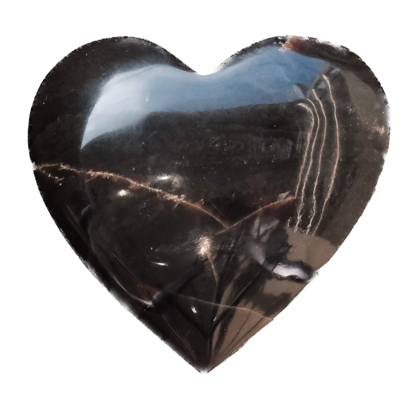 Amber Zebra Heart - Gentle Healing & Emotional Sunshine