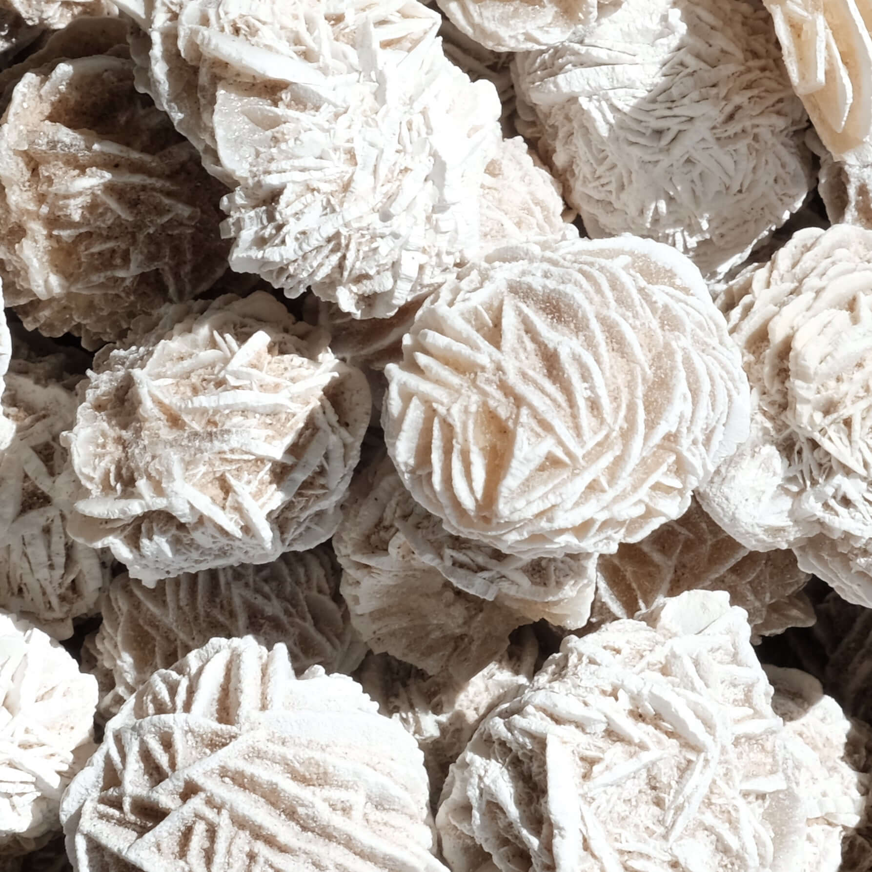 Desert Rose Selenite crystals for grounding and protection against negative energies. Perfect for enhancing meditation practices.