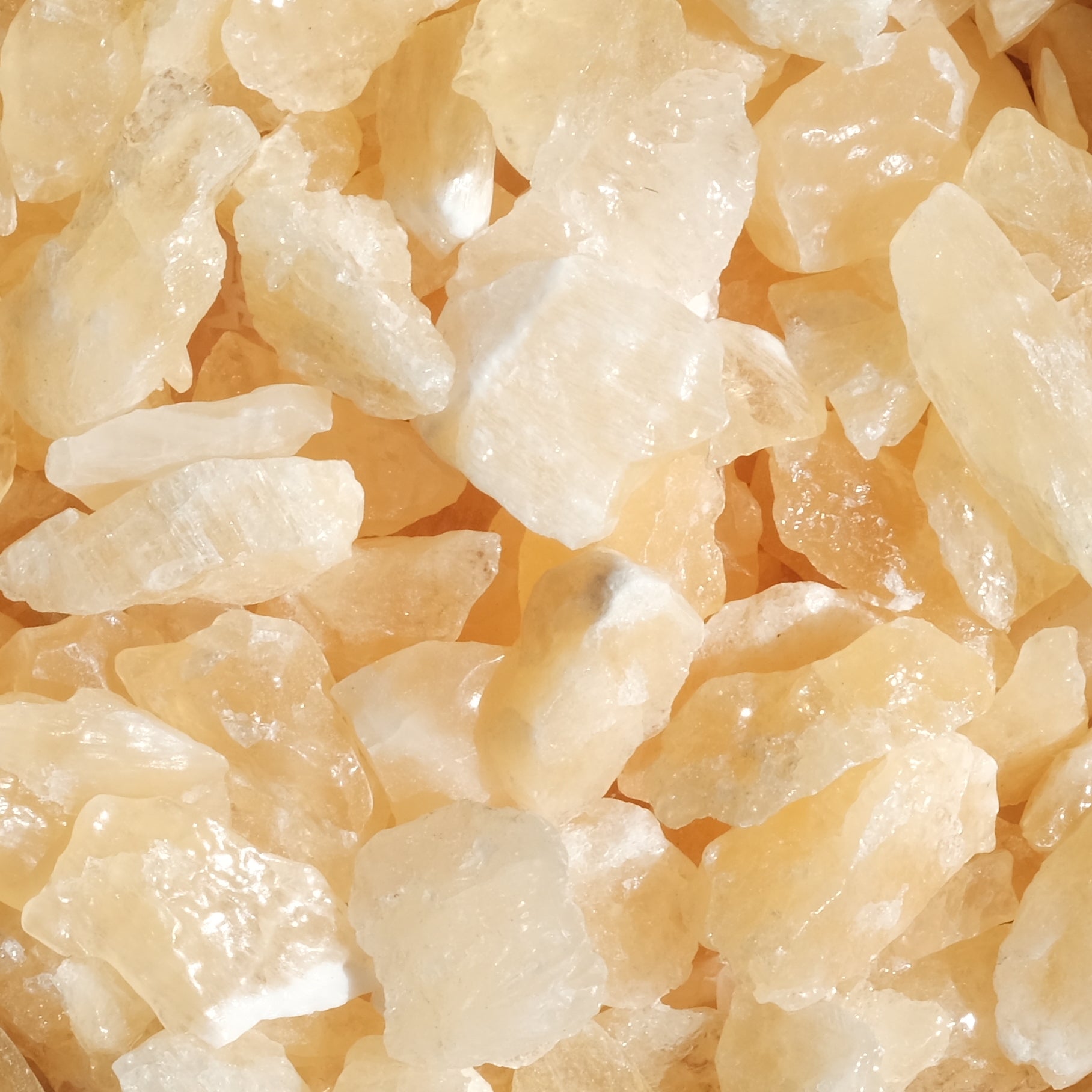 Honey Calcite rough stones in natural light showcasing their golden hue and textured surface.