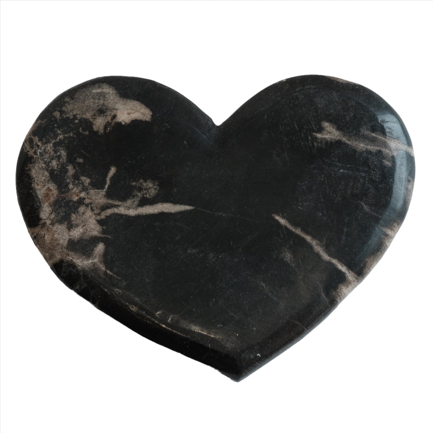 Petrified Wood Heart Flat Stone for Transformation and Comfort