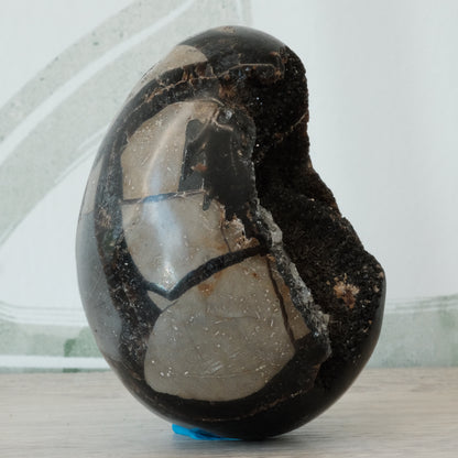 Medium Septarian Egg stone with reflective surface and unique patterns for enhancing intuition and group communication.