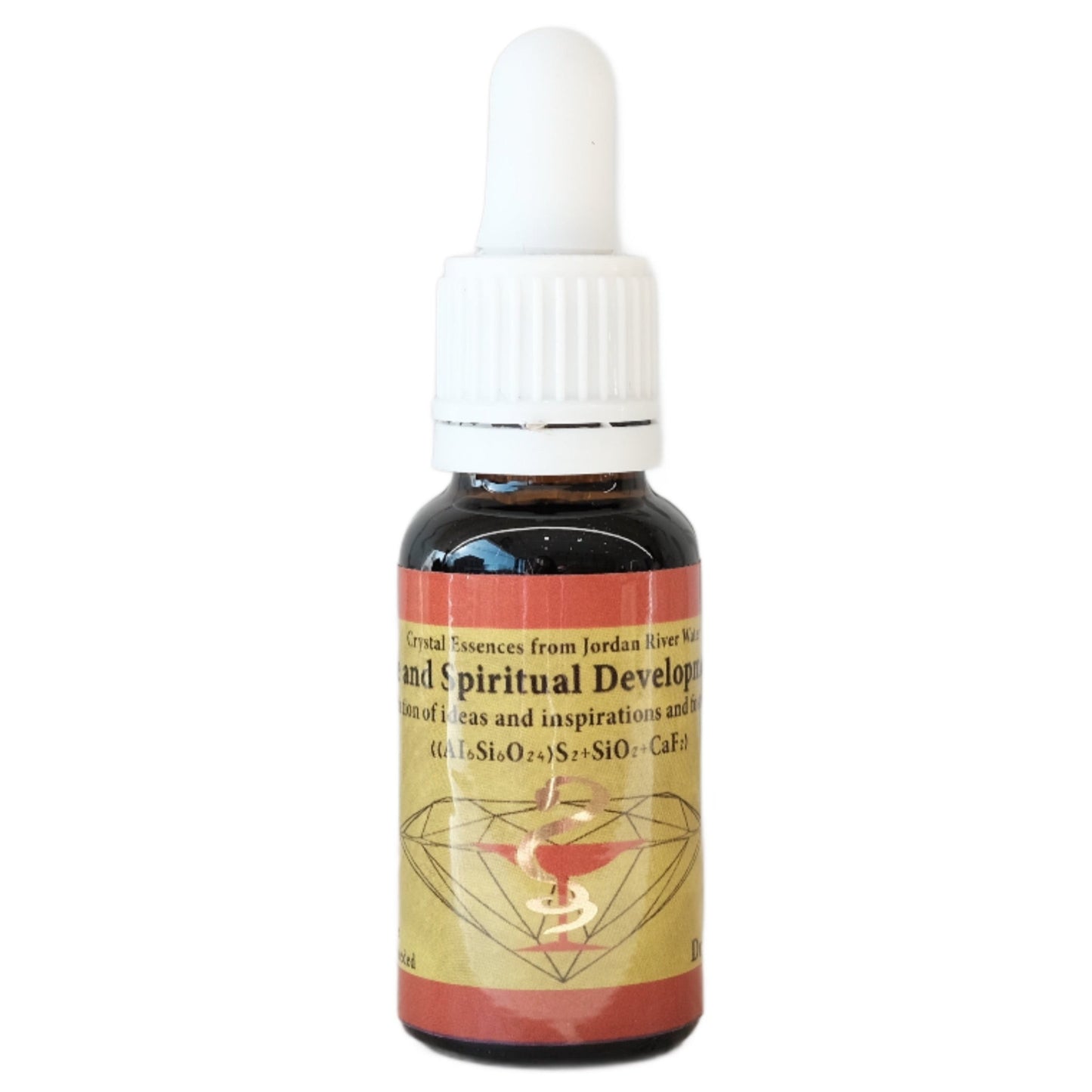 Competence and Spiritual Development and Growth Healing Essence by Dr Gila Gavrielov 50ml