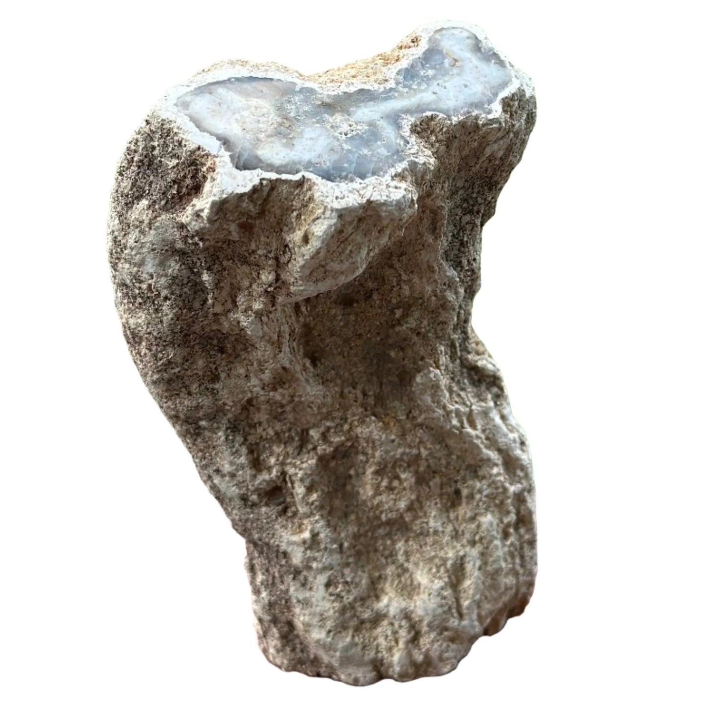 Petrified Wood Stump Slab